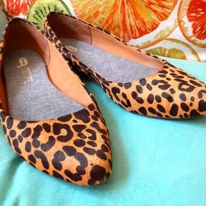 Leopard Flats